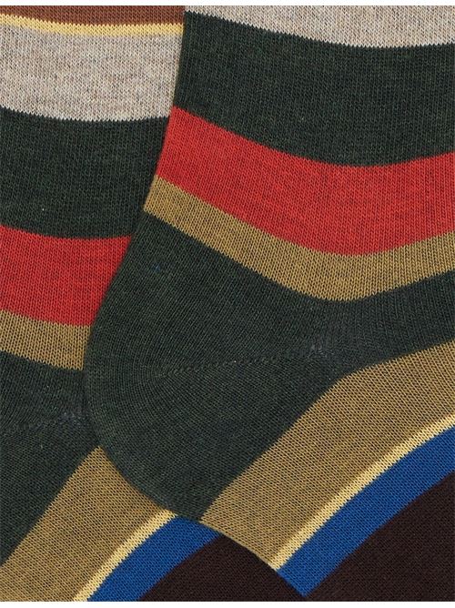 AP10341331988 FANTASIA gallo | AP10341331988 FANTASIA